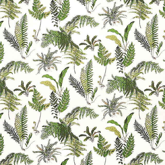LES FOUGERES wallpaper by Schumacher featuring a classic botanical fern pattern in green and document colorway.