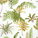 LES FOUGERES Spring Botanical Wallpaper by Schumacher – 5010661