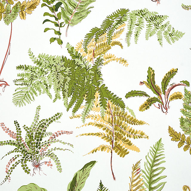 LES FOUGERES Spring Botanical Wallpaper by Schumacher – 5010661