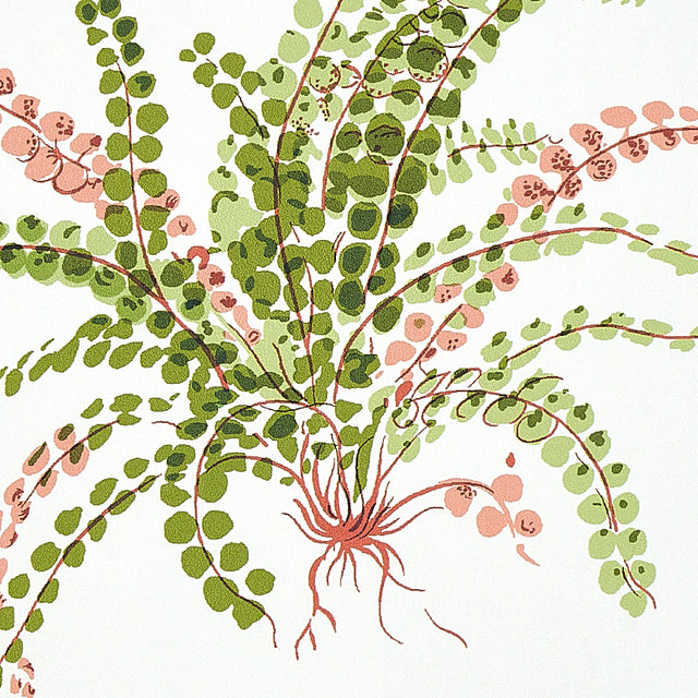 LES FOUGERES Spring Botanical Wallpaper by Schumacher – 5010661