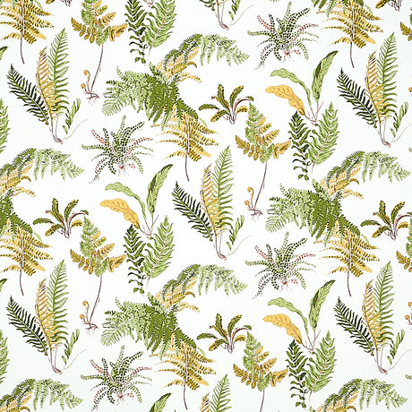 LES FOUGERES Spring botanical wallpaper by Schumacher featuring leafy green ferns on a white background.