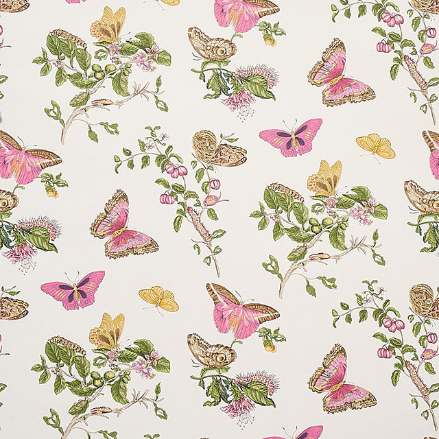 Baudin Butterfly wallpaper in blush pink and green, featuring butterflies and caterpillars on branches, inspired by 17th-century naturalist illustrations.