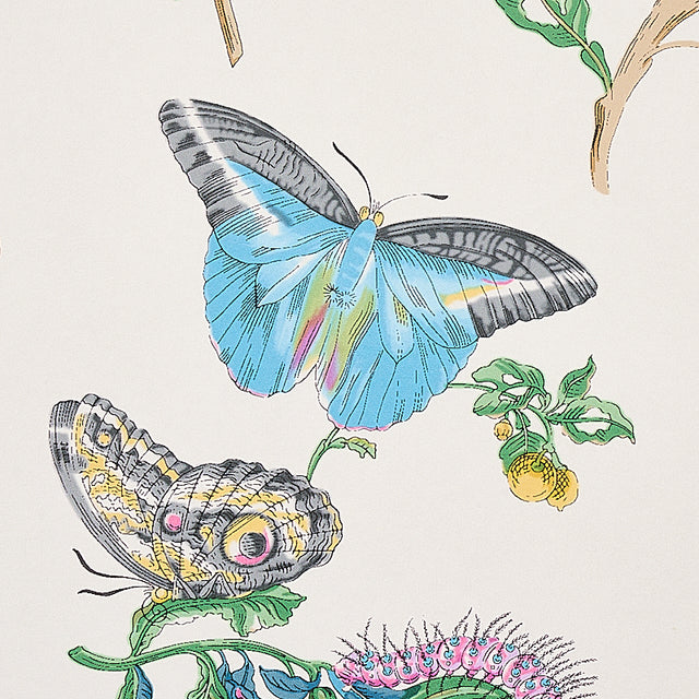 Baudin Butterfly Turquoise by Schumacher Botanical Butterfly Wallpaper – Schumacher 5010691