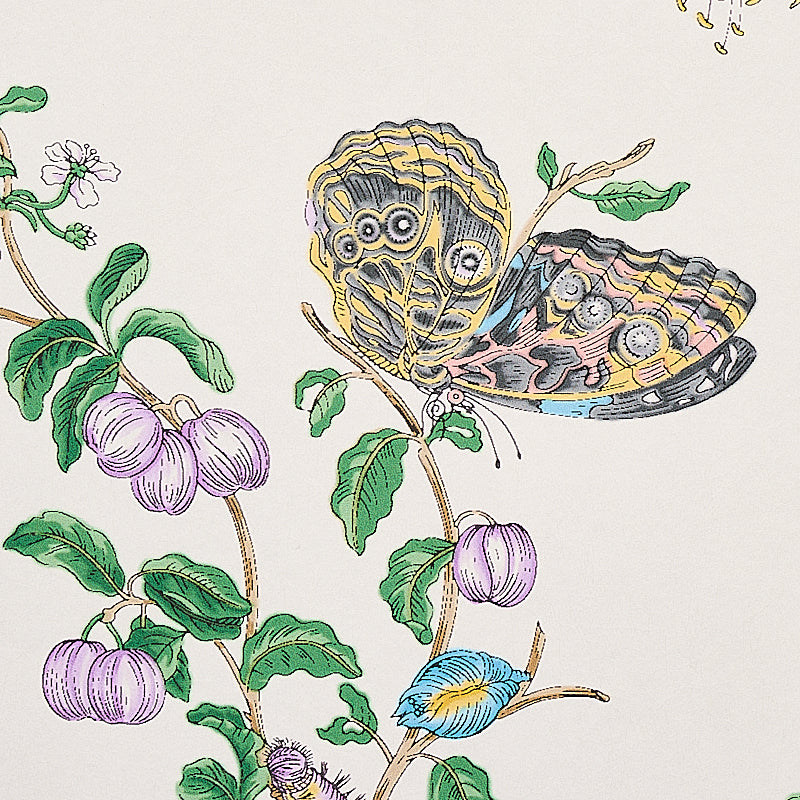 Baudin Butterfly Turquoise by Schumacher Botanical Butterfly Wallpaper – Schumacher 5010691