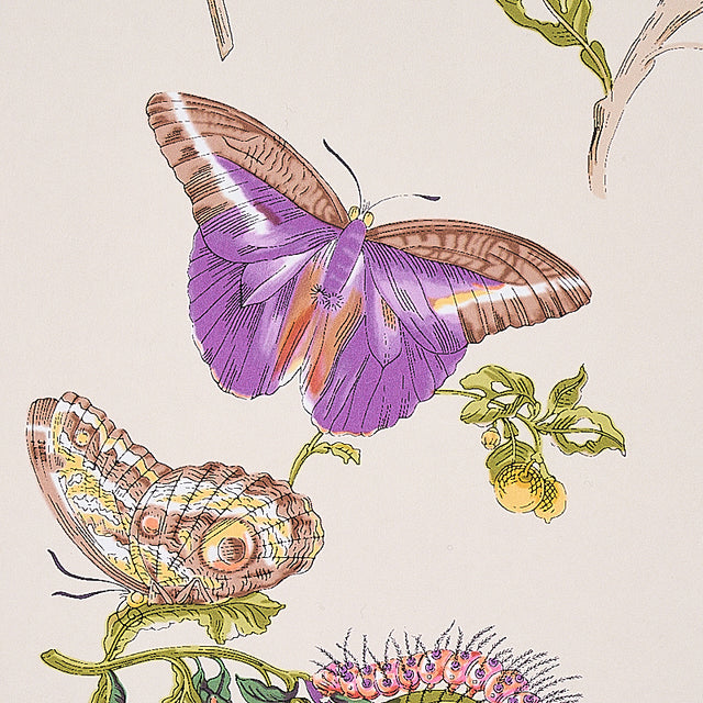 Baudin Butterfly Purple by Schumacher Signature Collection Butterfly Wallpaper – Schumacher 5010692