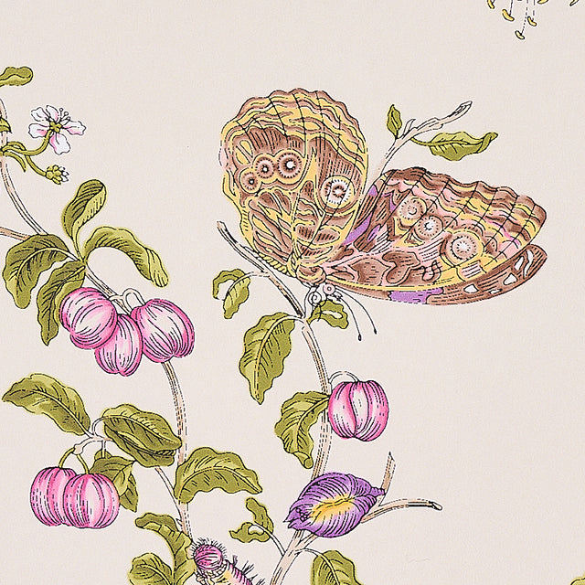 Baudin Butterfly Purple by Schumacher Signature Collection Butterfly Wallpaper – Schumacher 5010692