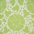 Marianne Leaf by Schumacher - Pop Art floral wallpaper in green and white, modern dandelion-inspired design