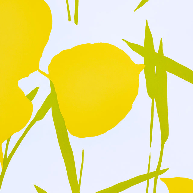 JOAN Yellow Floral Wallpaper by Schumacher – Flower Power Collection 5010780