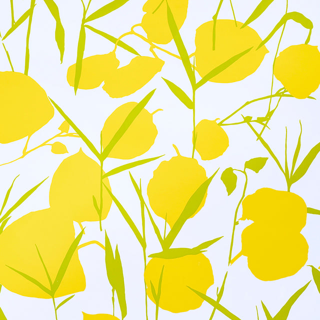 JOAN wallpaper in yellow by Schumacher, featuring large-scale stylized floral blooms with a retro vibe on a high-gloss ground.