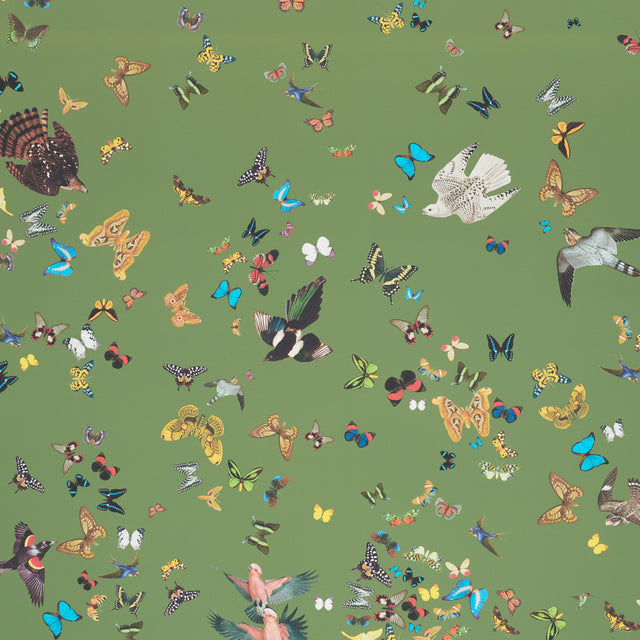Queen's Flight Panel Set Green by Schumacher Butterfly & Bird Wall Mural – Schumacher 5010860
