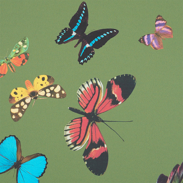 Queen's Flight Panel Set Green by Schumacher Butterfly & Bird Wall Mural – Schumacher 5010860