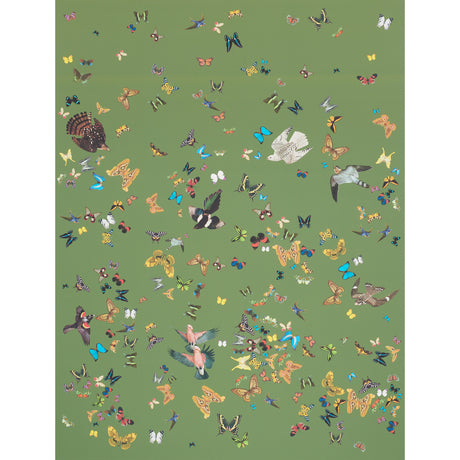 Queen's Flight Panel Set wallpaper in green with a vibrant pattern of birds and butterflies by Schumacher.