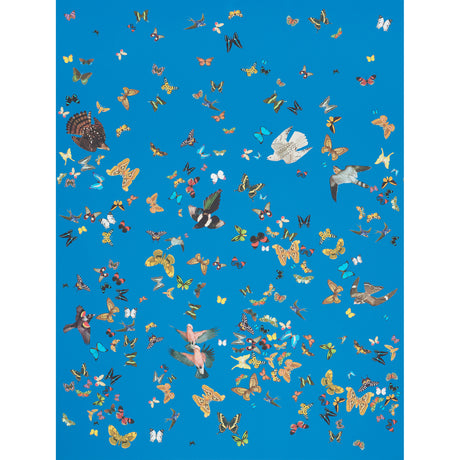 Queen's Flight Panel Set wallpaper in royal blue with a vibrant pattern of birds and butterflies by Peg Norriss for Schumacher.