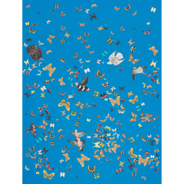 Queen's Flight Panel Set wallpaper in royal blue with a vibrant pattern of birds and butterflies by Peg Norriss for Schumacher.