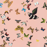 Queen's Flight Panel Set Pink by Peg Norriss Birds & Butterflies Wallpaper – Schumacher 5010864