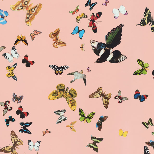 Queen's Flight Panel Set Pink by Peg Norriss Birds & Butterflies Wallpaper – Schumacher 5010864