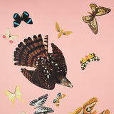 Queen's Flight Panel Set Pink by Peg Norriss Birds & Butterflies Wallpaper – Schumacher 5010864