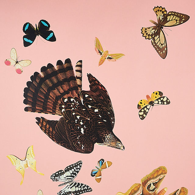 Queen's Flight Panel Set Pink by Peg Norriss Birds & Butterflies Wallpaper – Schumacher 5010864
