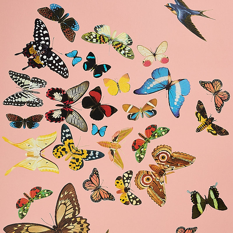Queen's Flight Panel Set Pink by Peg Norriss Birds & Butterflies Wallpaper – Schumacher 5010864