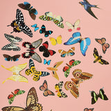 Queen's Flight Panel Set Pink by Peg Norriss Birds & Butterflies Wallpaper – Schumacher 5010864