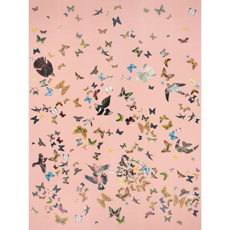 Queen's Flight Panel Set wallpaper in pink with a collage of colorful birds and butterflies by Peg Norriss for Schumacher