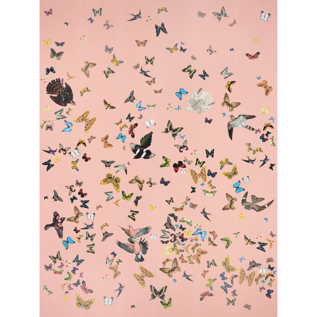 Queen's Flight Panel Set wallpaper in pink with a collage of colorful birds and butterflies by Peg Norriss for Schumacher