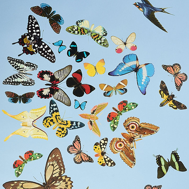 Queen's Flight Panel Set Sky by Peg Norriss Scenic Birds & Butterflies Wallpaper – Schumacher 5010865