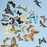 Queen's Flight Panel Set Sky by Peg Norriss Scenic Birds & Butterflies Wallpaper – Schumacher 5010865