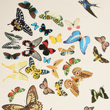Queen's Flight Panel Set Sand by Peg Norriss Designer Wallpaper – Schumacher 5010866