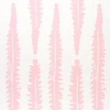 Fern Pink by Molly Mahon Graphic Botanical Wallpaper – Schumacher 5011110