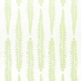 Fern Sage by Molly Mahon for Schumacher – graphic botanical wallpaper in a hand block print style, shown in light green on white.
