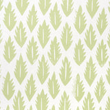 Leaf Grass Green by Molly Mahon Modern Botanical Wallpaper – Schumacher 5011150