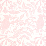 Bird & Bee Pink by Molly Mahon Botanical Wallpaper – Schumacher 5011191