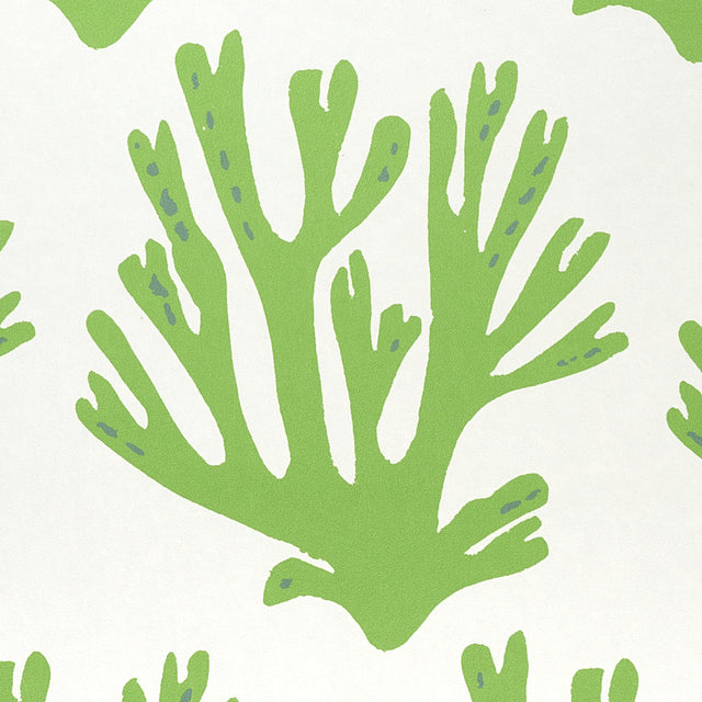 Coral Green by Molly Mahon Ocean-Inspired Designer Wallpaper – Schumacher 5011200