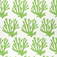 Green coral branch pattern wallpaper by Molly Mahon for Schumacher, shown in a styled interior and close-up views.