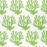 Green coral branch pattern wallpaper by Molly Mahon for Schumacher, shown in a styled interior and close-up views.