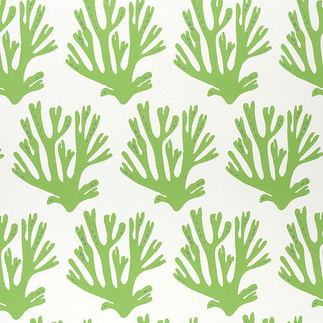 Green coral branch pattern wallpaper by Molly Mahon for Schumacher, shown in a styled interior and close-up views.