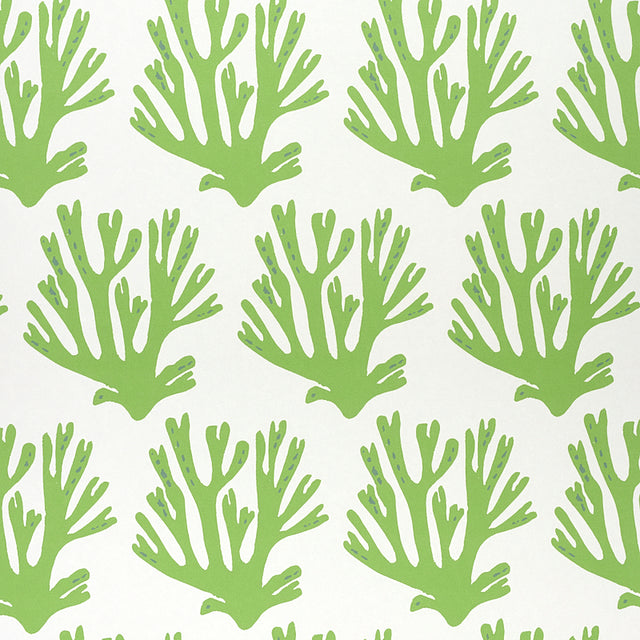 Green coral branch pattern wallpaper by Molly Mahon for Schumacher, shown in a styled interior and close-up views.