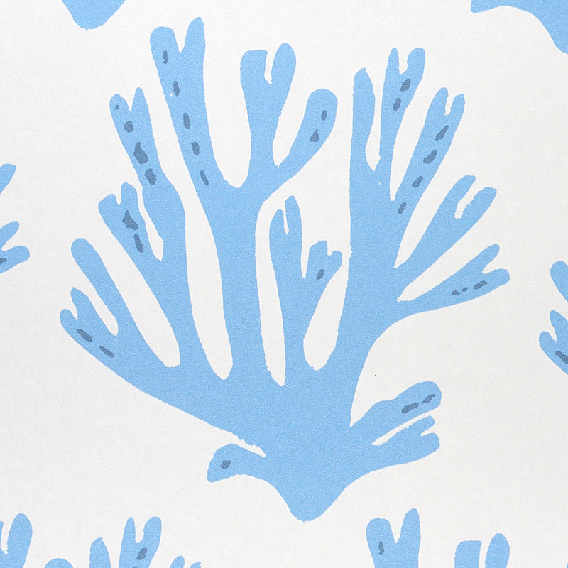 Coral Blue by Molly Mahon Ocean-Inspired Wallpaper – Schumacher 5011201