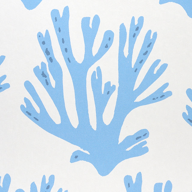 Coral Blue by Molly Mahon Ocean-Inspired Wallpaper – Schumacher 5011201