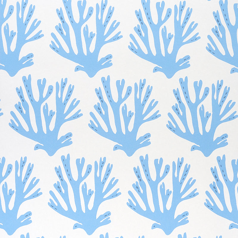 Blue coral branch pattern wallpaper by Molly Mahon for Schumacher, shown in a styled interior and close-up views.
