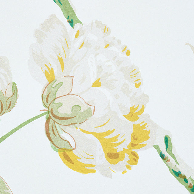 Daydream Citron by Schumacher Wide-Width Floral Wallpaper – Schumacher 5011400