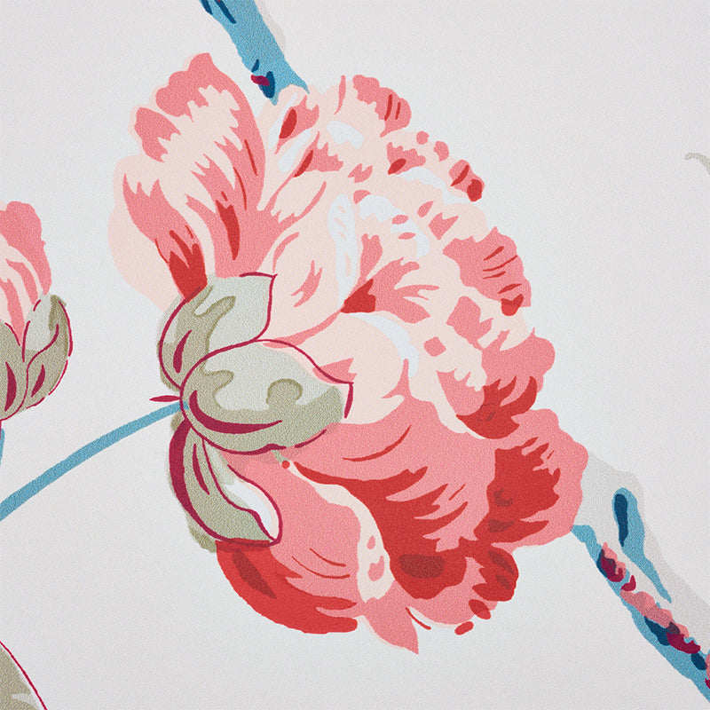 DAYDREAM Rose by Schumacher Signature Peony Floral Wallpaper – Schumacher 5011401