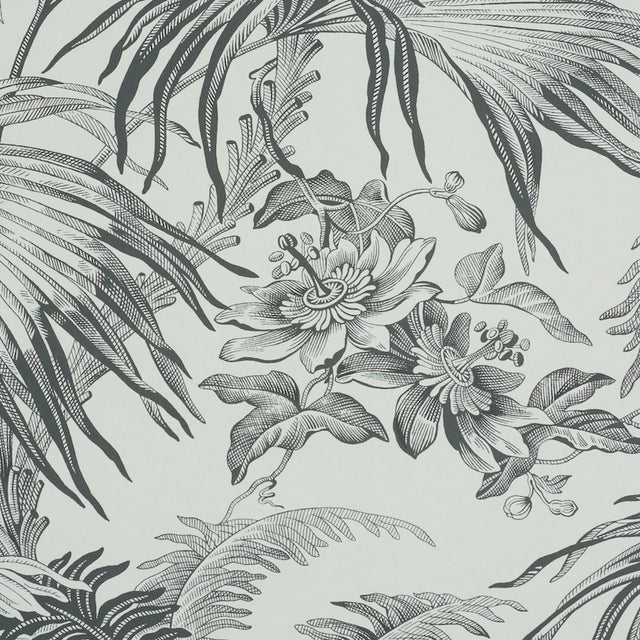 TOILE TROPIQUE Black by Schumacher Botanical Tropical Wallpaper – Schumacher 5011481