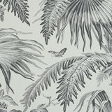 TOILE TROPIQUE Black by Schumacher Botanical Tropical Wallpaper – Schumacher 5011481