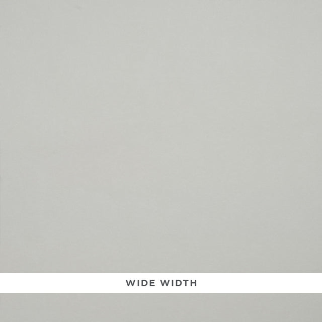 Chariot of Dawn Toile Ground in Ivory by Schumacher - plain wide-width wallcovering
