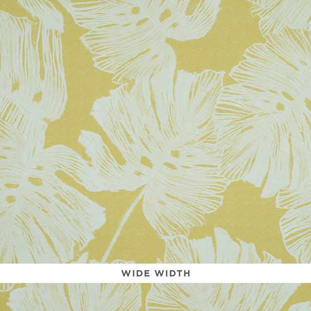 Del Coco wallpaper in yellow with a split leaf philodendron leaf pattern by Schumacher