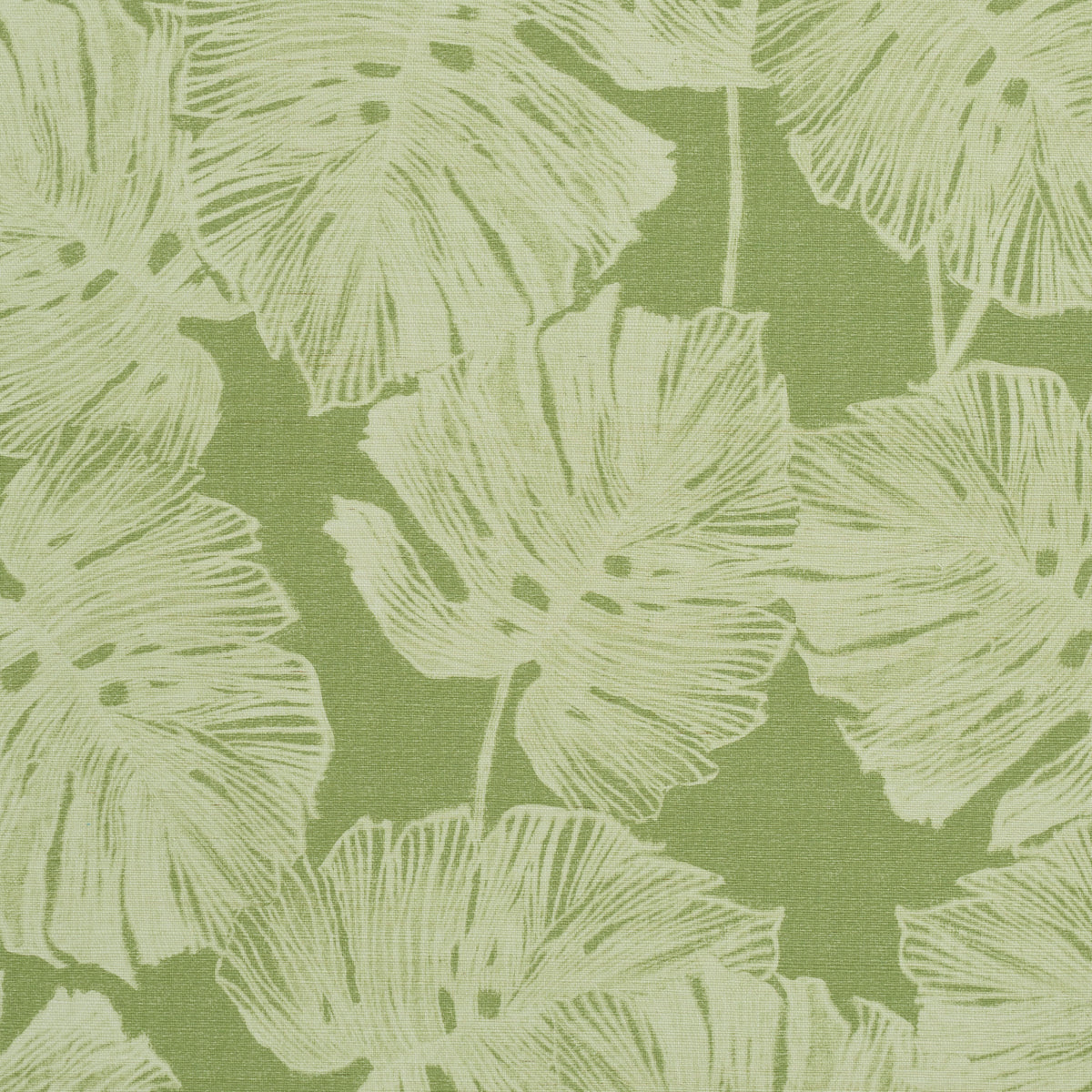 Del Coco Sisal wallpaper in Leaf by Schumacher features split leaf philodendron leaves in a soft, watercolor effect on a textured green ground.