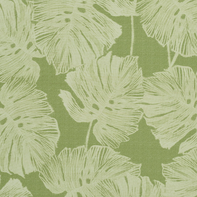 Del Coco Sisal wallpaper in Leaf by Schumacher features split leaf philodendron leaves in a soft, watercolor effect on a textured green ground.
