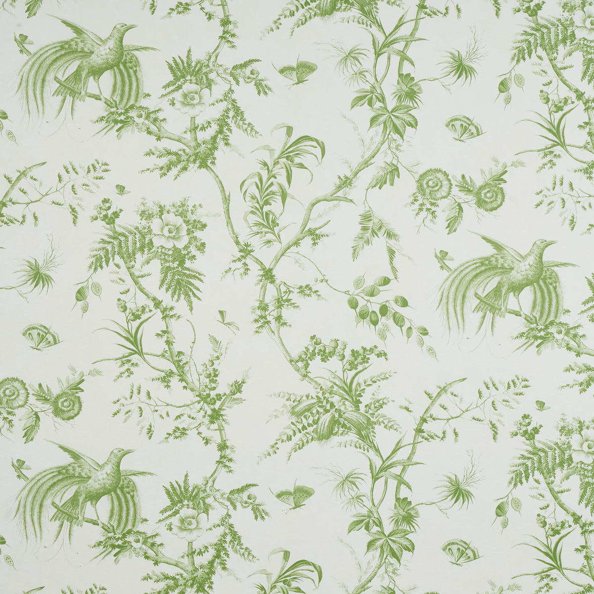 TOILE DE LA PRAIRIE green wallpaper by Schumacher featuring songbirds, butterflies, and blooming branches in a scenic toile pattern.